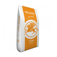 Pegasus Value Cubes 20kg