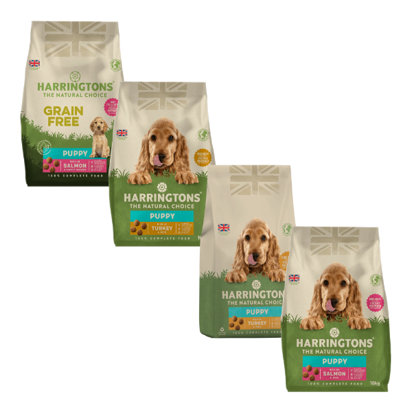 Harringtons Complete Puppy Dry Dog Food