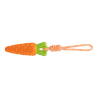Carrot On A Rope Tpr 20cm/39cm (003)