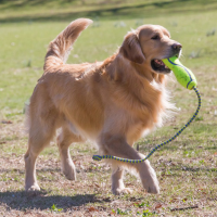 Fetch Stick (Air Dog)