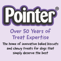 Pointer Stars With Cheese 6x400g