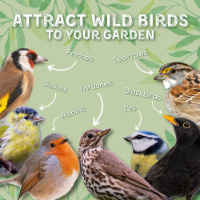 Copdock Mill Wild Attraction Wild Bird Mix