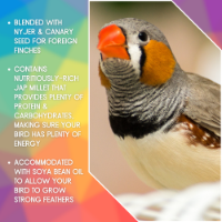 SkyGold Special Foreign Finch 20Kg