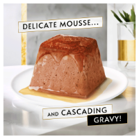 Gourmet Revelations Mousse with Salmon Gravy 6 x 4 x 57g