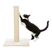 Scratching Posts and Accessories