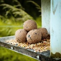 Copdock Mill Suet Balls Peanut Butter x 50 Tub