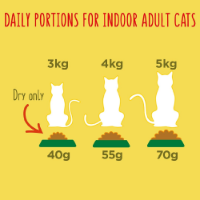 Go-Cat Indoor 4 x 2kg