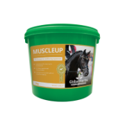Global Muscle Up 1kg