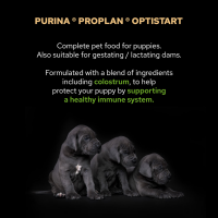 Pro Plan Puppy Large Breed Robust Chicken