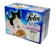 Felix-Pouch-Kitten