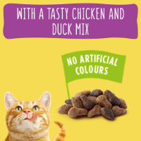 Go Cat Chicken & Duck Dry Cat Food