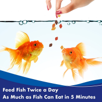 Aquarian Gold Fish Flake 25g 105555  (012)