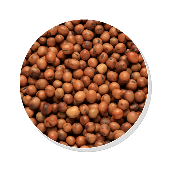 Tic Beans 25kg