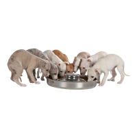 Puppy Bowl Stainless Steel 4.0 L 38cm