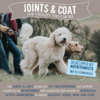 Butcher's Joints & Coat Dog Food Tins 4 x 6 x 390g
