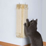 Scratching Posts and Accessories