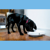 C300 3 Meal Automatic Pet Feeder/Digital Timer