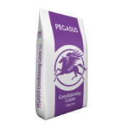 Pegasus Condition Cubes 20kg
