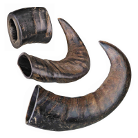 Genuine Buffalo Chewing Horn