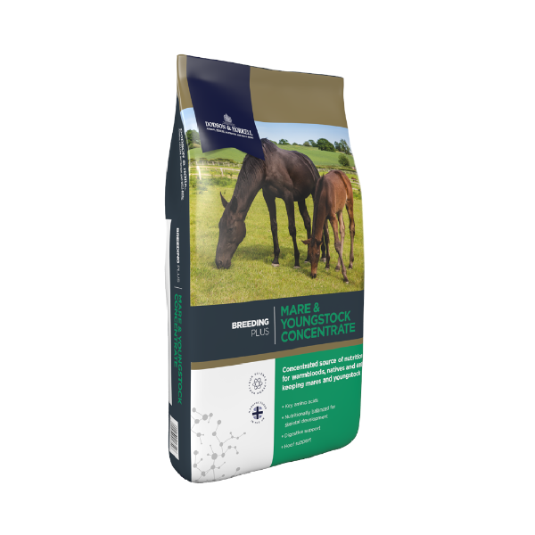 Dodson and Horrell Mare & Youngstock Concentrate 20kg - Copdock Mill