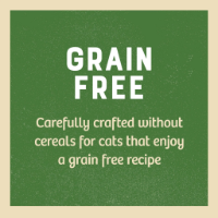 James Wellbeloved Grain Free Adult Turkey Wet Cat Food In Gravy Pouches